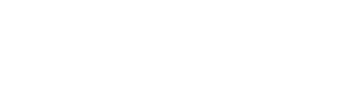 MODE 4x4 Accessories Logo - Light